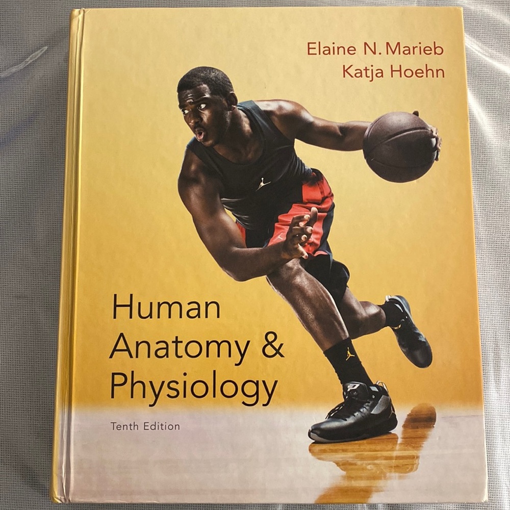 Human anatomy and physiology 10th edition